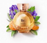 Liz Desodorante Colônia 100ml código 9235-106